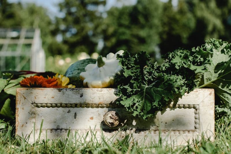 Food Growers